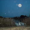 Ttttttt_002_thumb