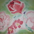 New_pics_042_tiny_square