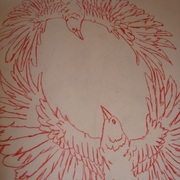 Birds_card