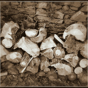 ______4344-1_card