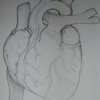 Heart_thumb