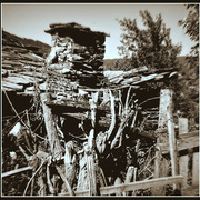 ______4338-1_card
