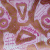 Doodles_v_thumb