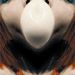 Okkkk_square