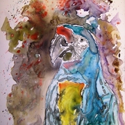 Macaw_parrot_yupo_painting_small_card