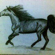 Runninghorse2_card