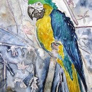 Parrot_bird_painting_small_card