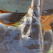 Bullet_hole_2_card