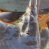 Bullet_hole_2_thumb