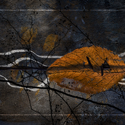 Autumn_refrain_card