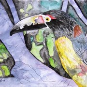 Toucan_bird_painting_small_card
