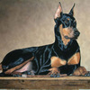 Doberman_oil_on_canvas_thumb