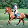 Horse___rider_oil_painting