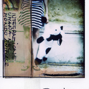 Integrazione_umana_nel_mondo_animale_card