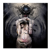 12_insect_female_figure_card