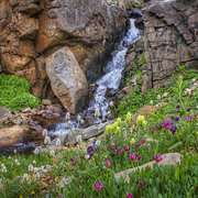 _mg_6262_card