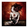 7_the_hermaphroditus_metamorphosis_2009_thumb