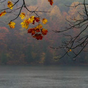 Newrainyday12x24_card