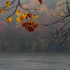 Newrainyday12x24_thumb