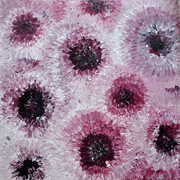 78