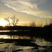 Fall_sunset_2_card