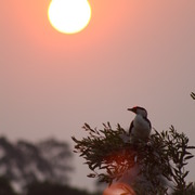Img_0049_card
