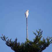 Img_9924_card