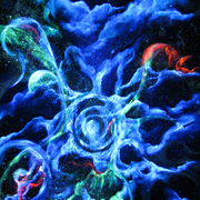 Uv_card