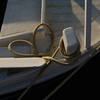 _dsc0099_thumb
