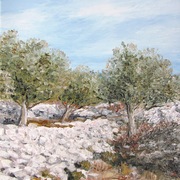 Irena_s_olive-trees_card