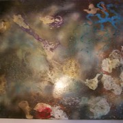 100_8743_card