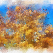 Fall_colors_card