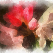Inbloom_card