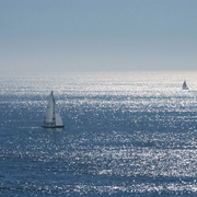 Picture_24_card