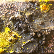 100_8332_card
