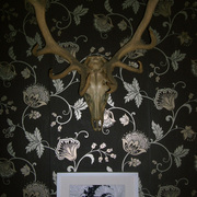 Beach_3_skull_card