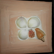 Sam_0191_card