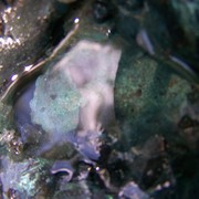 100_8163_card