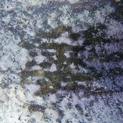 100_8172_card