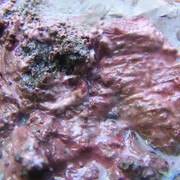 100_8188_card