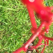 100_7861_card
