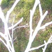100_7986_card
