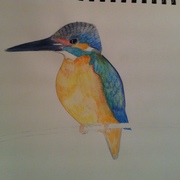 Img_0523_card