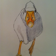Img_0522_card