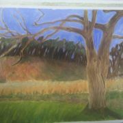 Valley_forge_tree_card