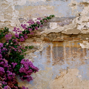 Dsc05500_card