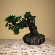 Dscn1455_card