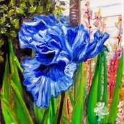 Iris-e_card