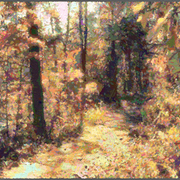 Landscape-01901_card