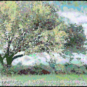 Landscape-5717_card